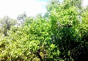 Ngày tháng vui buồn với Trịnh Công Sơn
