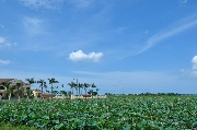 Về ngôi làng mang mang nỗi nhớ