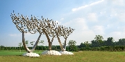 Khám phá vùng đất nghệ thuật Art In Forest