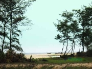 Khúc phong cầm trên cát