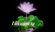 Lời Cảm Tạ