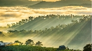 Sương mù