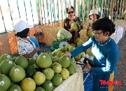 Thừa Thiên - Huế chính thức khai hội Thanh trà lần VI