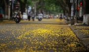 Dường như lại tinh khôi...