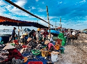 Bọt nước về nơi cảng cá