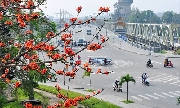 Bốn mùa hoa