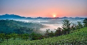 Đà Lạt khúc tình ca