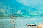 Bức tranh quê