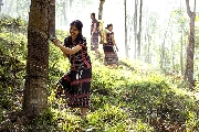 Tìm em lời thất hứa