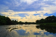 Lời ru Ô Lâu