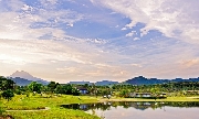Niệm khúc tình quên
