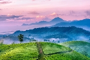 Khúc nhạc