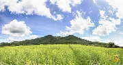 Về với mênh mông