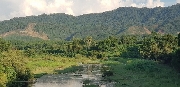 Vệt đắng thời gian
