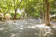 Sài Gòn không thể cô đơn