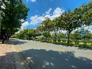 Mặt trời vẫn sáng trong đêm
