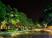 Đèn màu đưa tiễn bước chân
