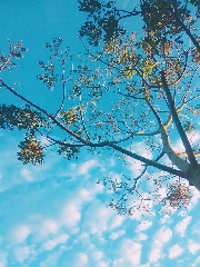 Trời xanh không của riêng ai