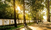 Nứt toang màu nắng