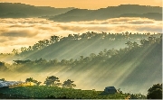 Bản hòa ca ngẫu hứng