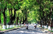 Trên tháng ngày xanh biếc