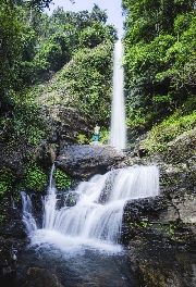 Bình Tiến ngày về