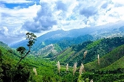 Có thương nhau thì về