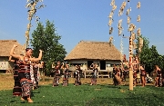 Yêu lắm Nam Đông