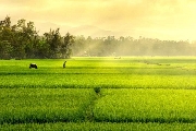 Mùa màng