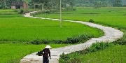 Cố hương tôi