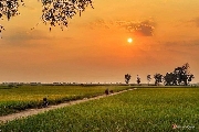 Về thăm quê
