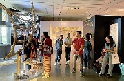 Khám phá lịch sử hình thành trái đất qua bộ sưu tập hóa thạch tại Bảo tàng Hà Nội