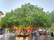 Khai mạc không gian Văn học Nghệ thuật