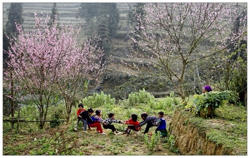 Hội tụ "Hương sắc trăm miền" giữa lòng Hà Nội