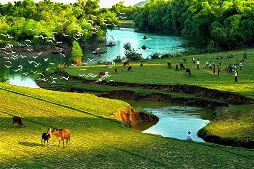 Phát động cuộc thi sáng tác ảnh với chủ đề “Sống hài hòa với thiên nhiên”
