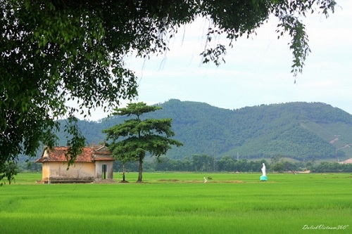 La Chữ quê mẹ