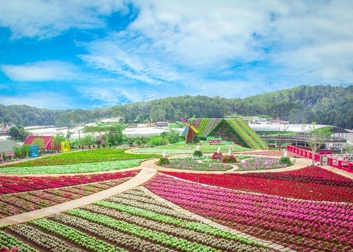 Gặp Huế giữa xứ ngàn hoa