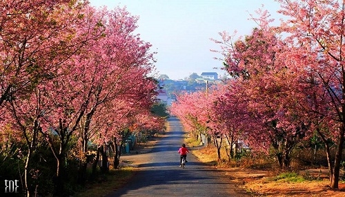 Tháng năm và Đà Lạt