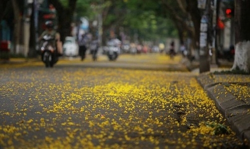 Dường như lại tinh khôi...