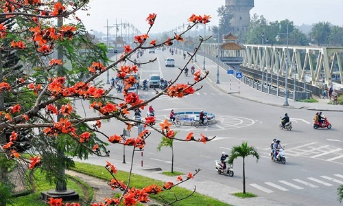 Bốn mùa hoa