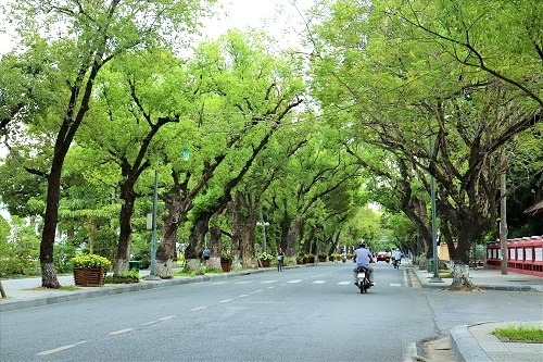Phố xanh