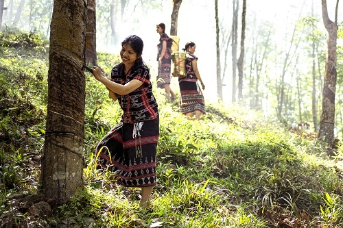 Tìm em lời thất hứa