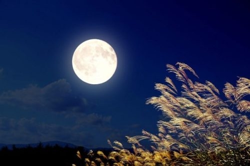 Đà Lạt một lần trăng
