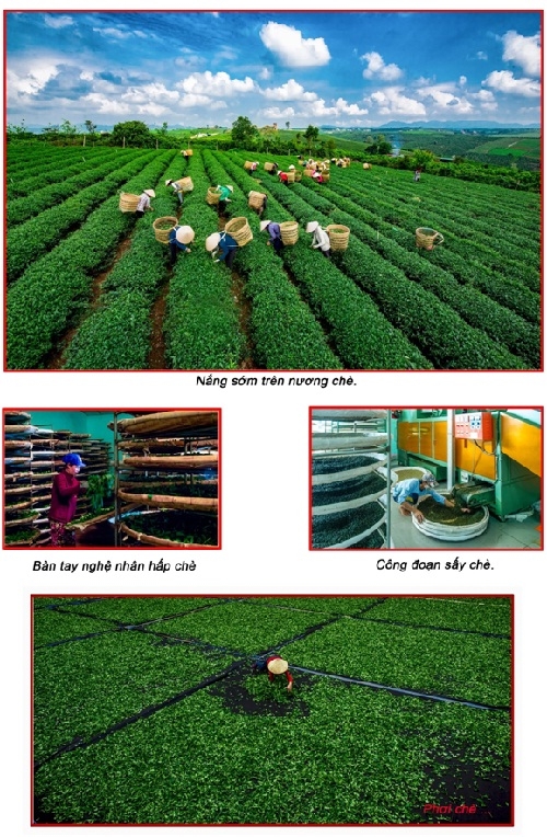 Chùm ảnh NSNA Võ Đông Bảy
