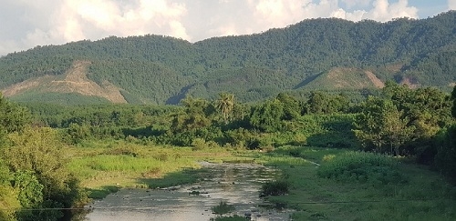 Vệt đắng thời gian