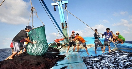 Lưới chài ở biển Trường Sa
