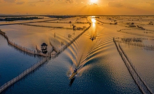 Em là người Vinh Thanh
