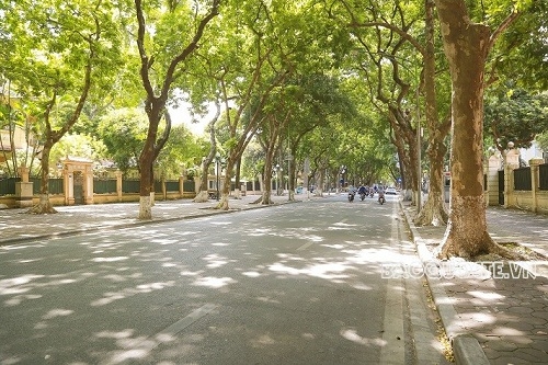 Sài Gòn không thể cô đơn
