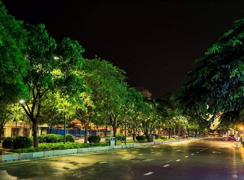 Đèn màu đưa tiễn bước chân
