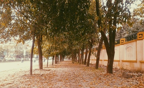Có và không